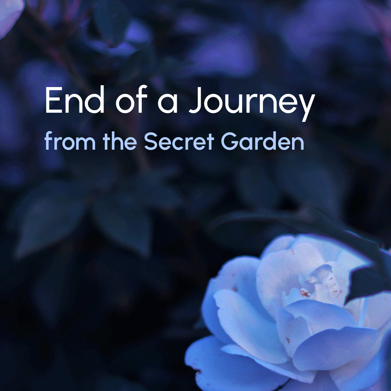 end of a journey secret garden